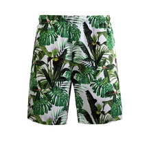 Load image into Gallery viewer, N90-AR23958/N90-TR23958 (White With Green Leaf), Men (92% polyester + 8% spandex)  Aloha Shirt/Shorts/Set