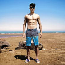 Load image into Gallery viewer, N90-S5625 (Gray/blue bird of paradise), Men Submersible Shorts (4-way stretch)