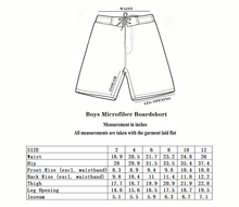 Load image into Gallery viewer, N20-B891T (White Plamtree), Boys Microfiber Boardshort
